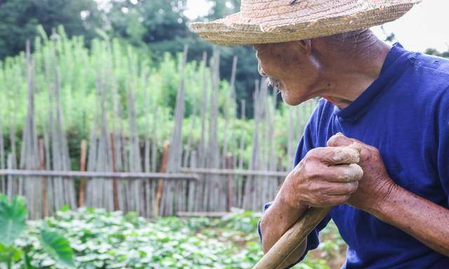 半岛体育江苏老汉与儿媳发生关系儿媳报案后真相竟是温柔陷阱(图1)