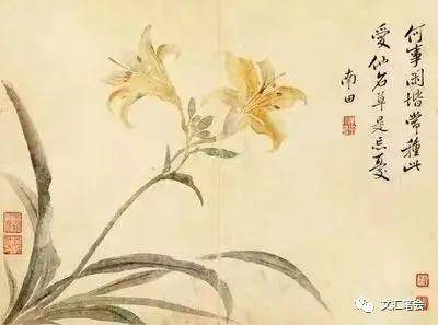 黄花莫悔菜肴凉|徐建融_萱草_父母_母亲