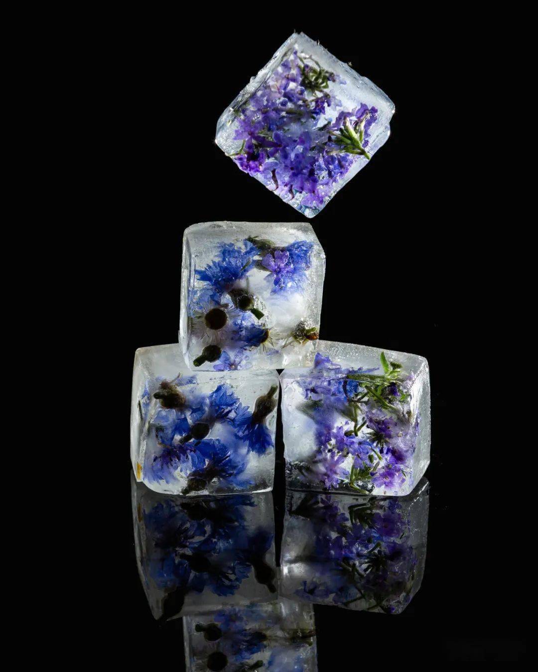 冰非冰,花非花/冰花创意摄影活动_视界_招生_创作