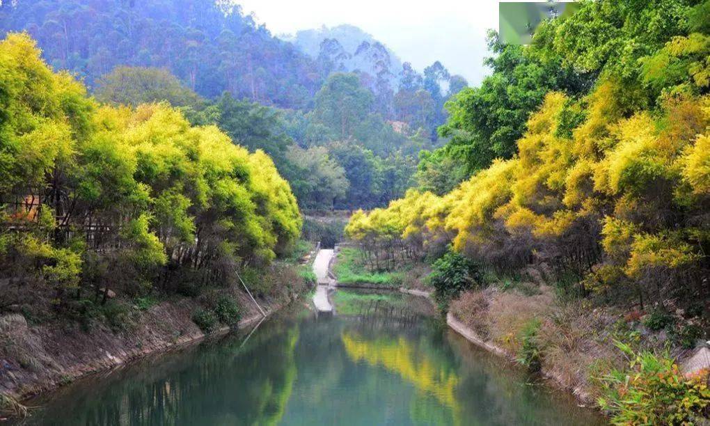 大南山南丹山九道谷枕頭灣漫水河關山肚同心湖白鶴洞水庫大南山水庫蒲