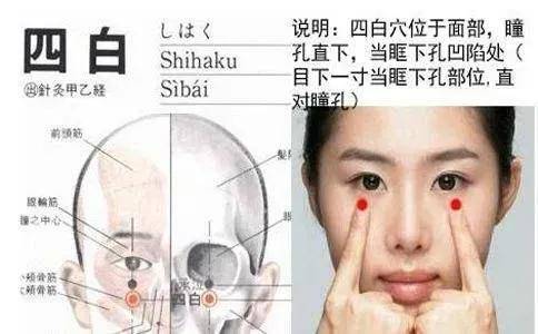 神奇的四白穴,让你眼睛更光明的穴位,也是防治白内障的要穴_食指_方法_位置