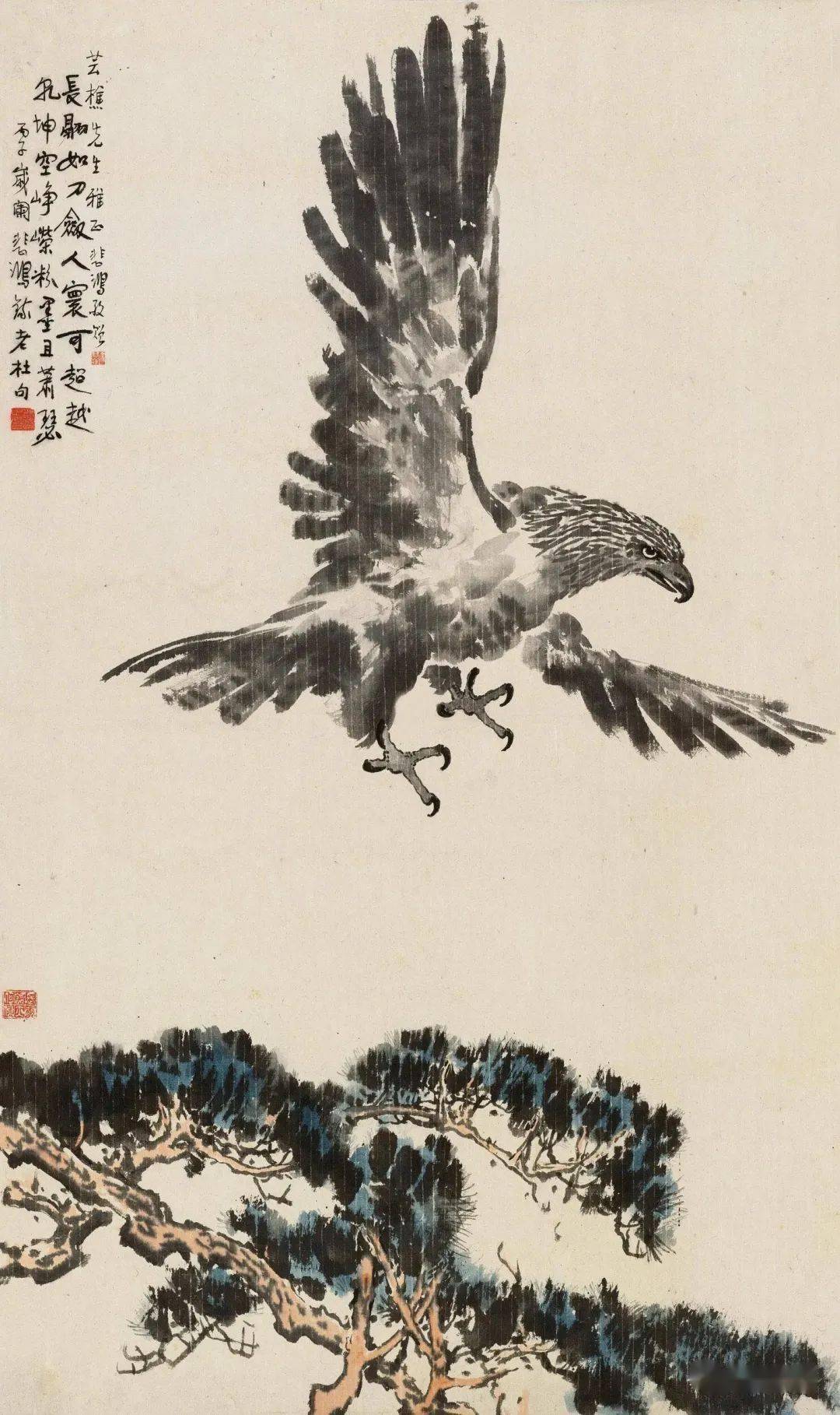 国画画鹰名家作品图片