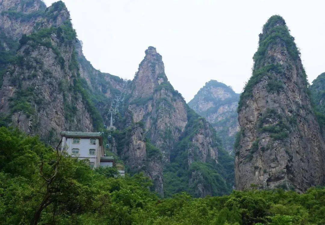免门票!"5·19中国旅游日",神农山初夏美景绽放!_中原_畅游_游客