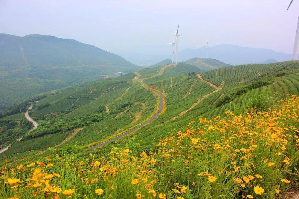 阳春风车岭图片