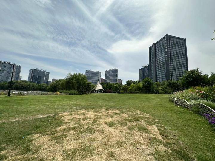 杭州市园文局发出绿地开放共享倡议,你有什么建议?_公园_管理_草地