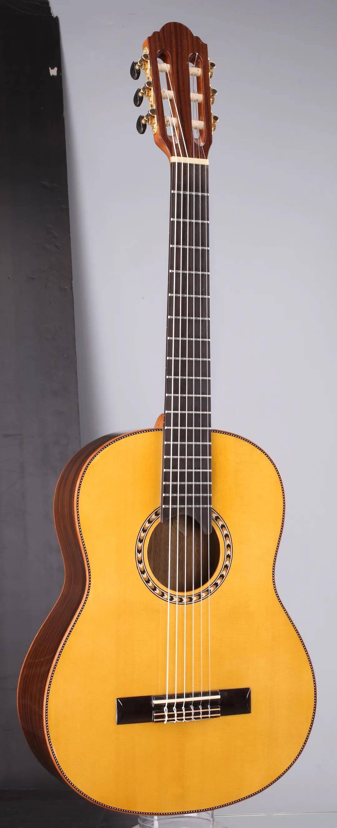 吉他_展会_面板