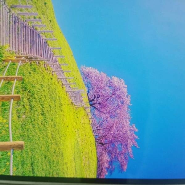 北宋刘敞出使契丹，耳闻目睹了契丹少女与汉族士子怎样的生死恋_草原_马祐_女子