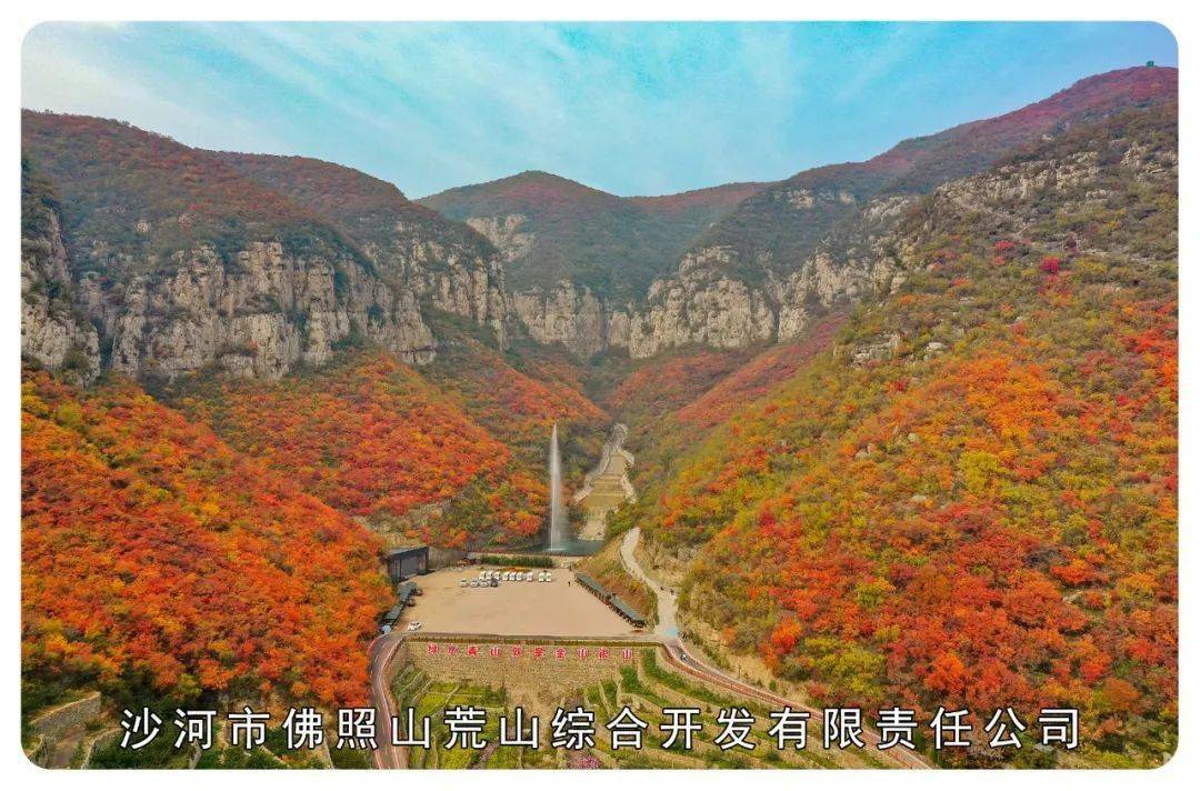 金沙河丨这是一篇非常非常丰富的图文介绍._挂面_part_集团
