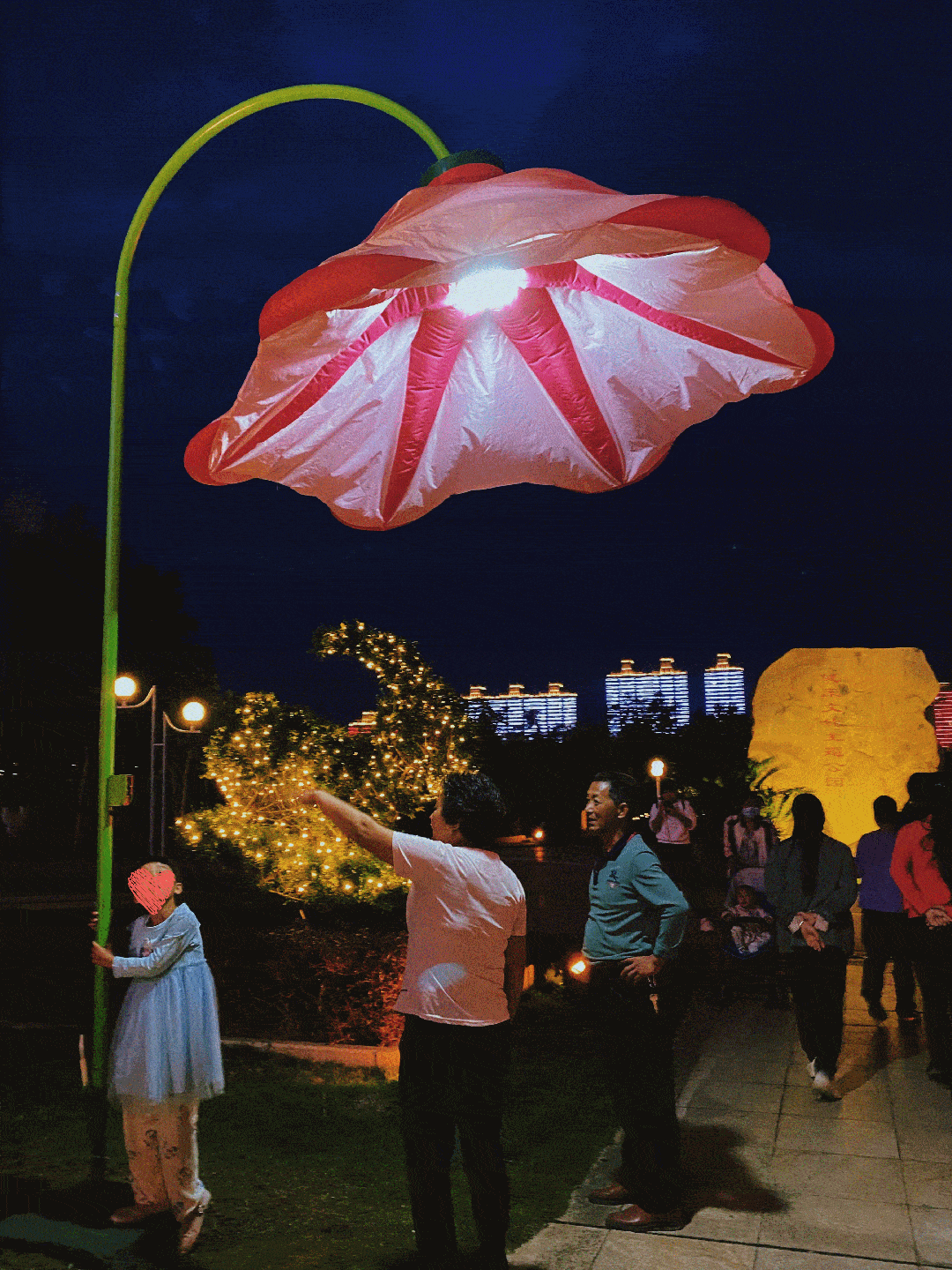 超浪漫!_牵牛花_花灯_市民