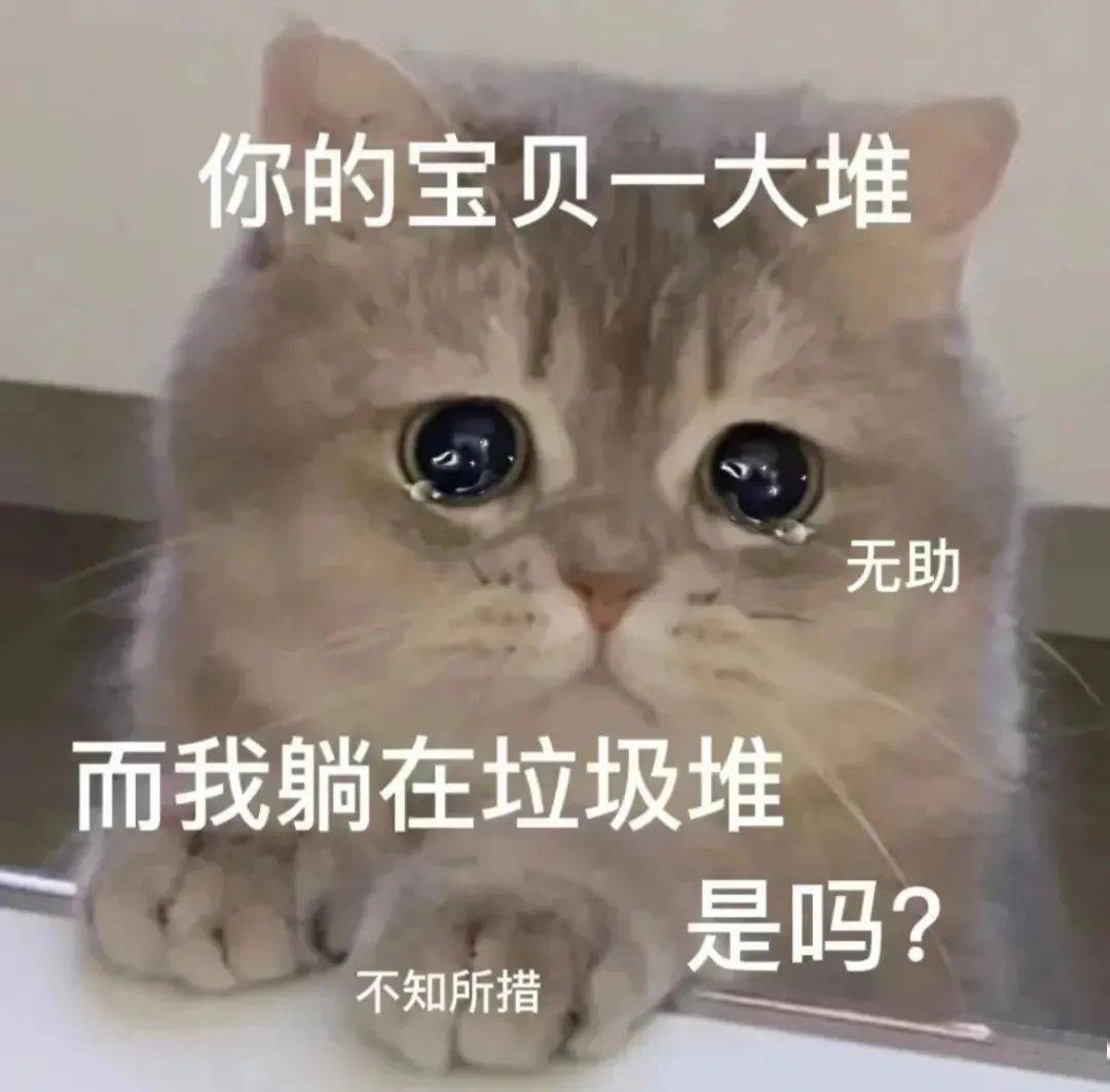 熊猫头表情包桌面壁纸图片