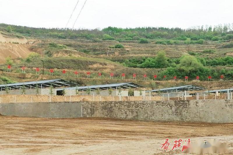 在赵墩乡2000头平凉红牛养殖场建设工地,大型机械来回穿梭 机声隆隆