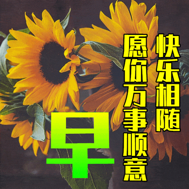 5月18日最漂亮早上好动态表情图片大全,早晨好动图美图大全_祝福_人生