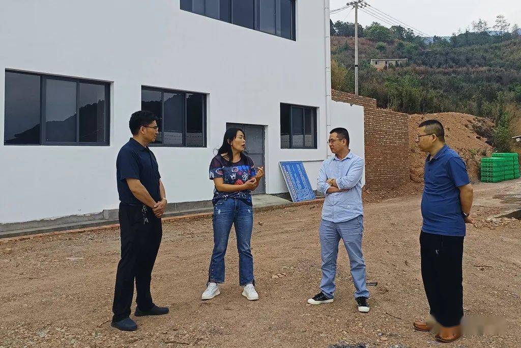 【工作动态】南涧县政协到宝华现场调研督办重点提案办理工作_加工