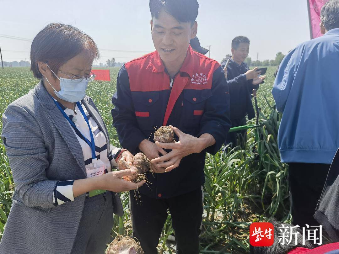 邳州市宿羊山名人图片