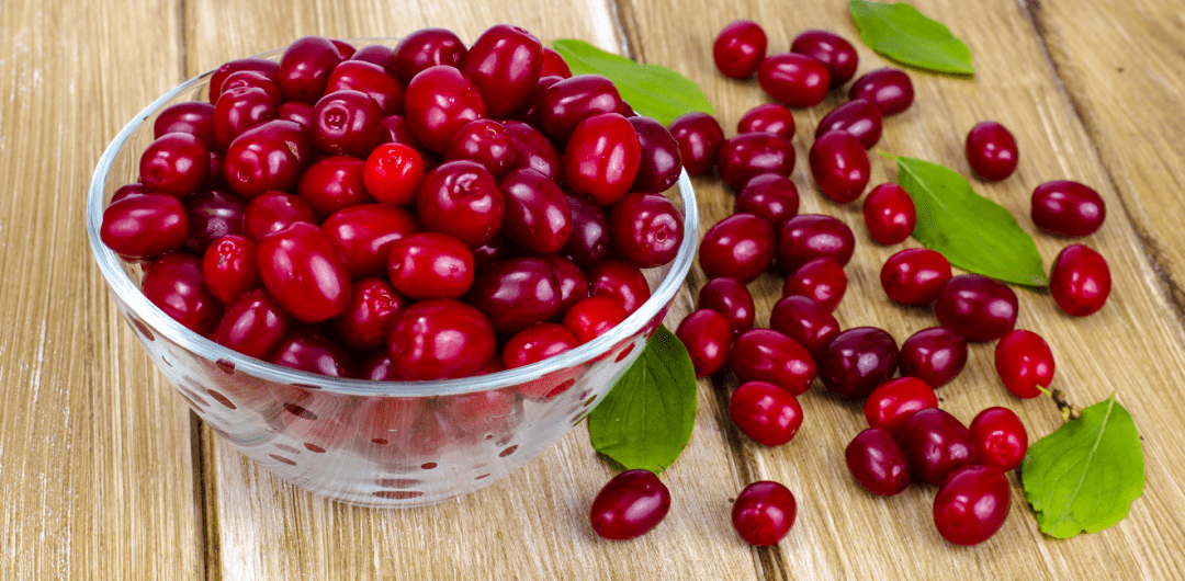 茱萸肉含有丰富的营养物质和功能成分,明代李时珍的《本草纲目》集