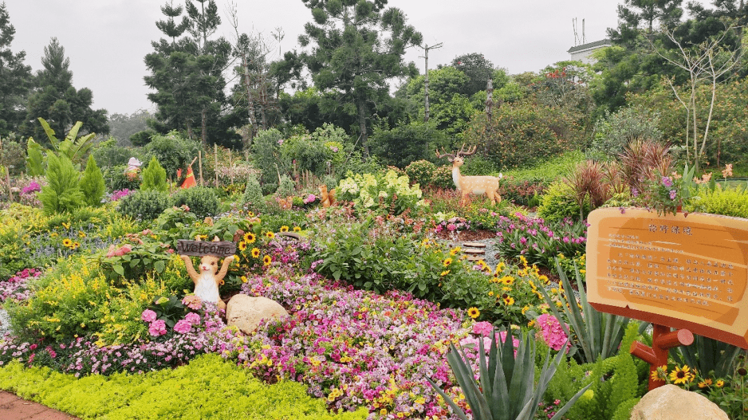 廈門植物園—園博苑—海灣公園3,漳州古林寺—水仙花海