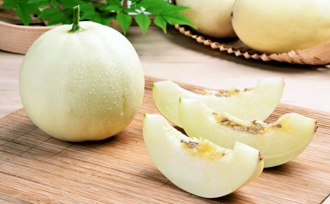 游园赏花,休闲垂钓,露营野餐