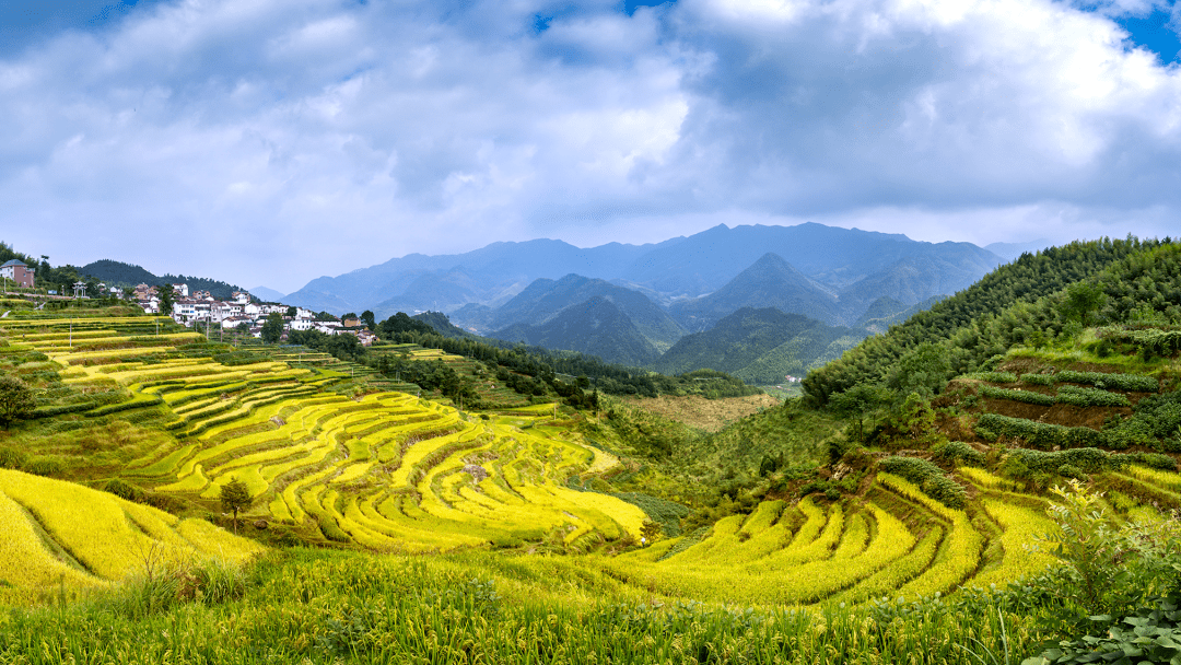书记话图强 届中大晒拼 | 塔石乡开展履职大考,全面提升村干部队伍干事创新能力_进行_建设_组织