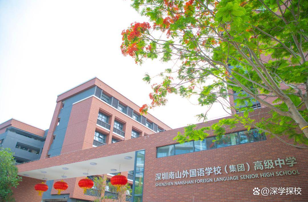 南外_发展_课程