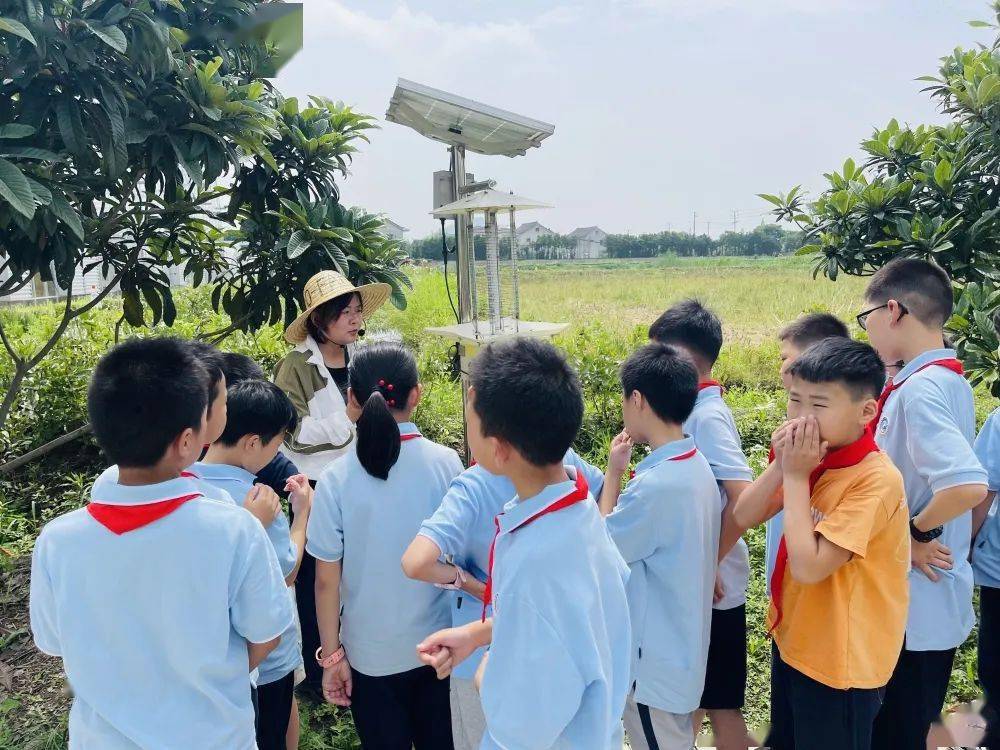 阳光少年 快乐成长——记郭店小学阳光少年成长营活动_海宁市_队旗