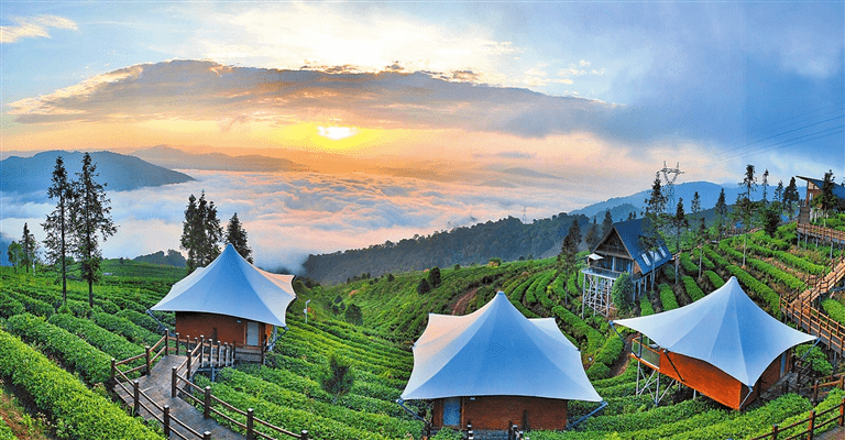 熔铸文旅大品牌 邀客幸福游云南——云南康旅集团做强做优做大文旅