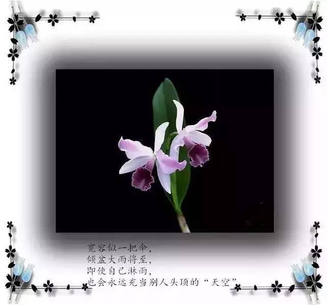 心似白云,意如流水.忍一忍,春暖花开,让一让,柳暗花明.