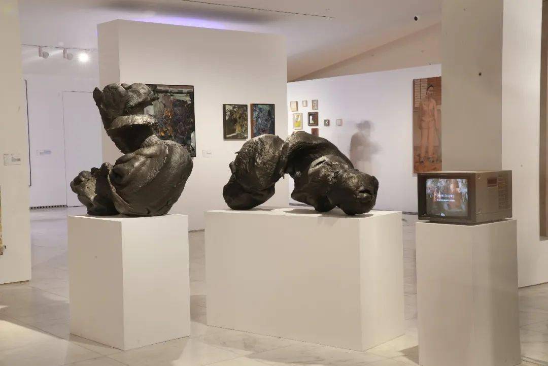 冉华明指导教师:邱志杰 教授作品材质:多屏幕 动画 视频 3d打印等综合