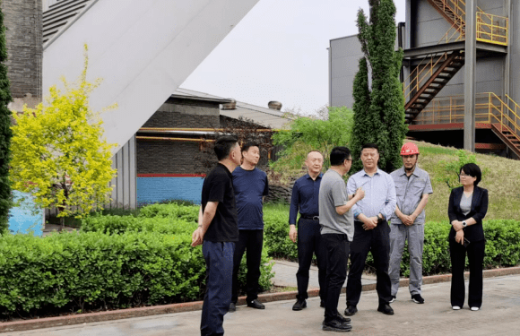 省生态环境厅党组成员,副厅长张继平,忻州市政府副市长耿鹏鹏深入代县