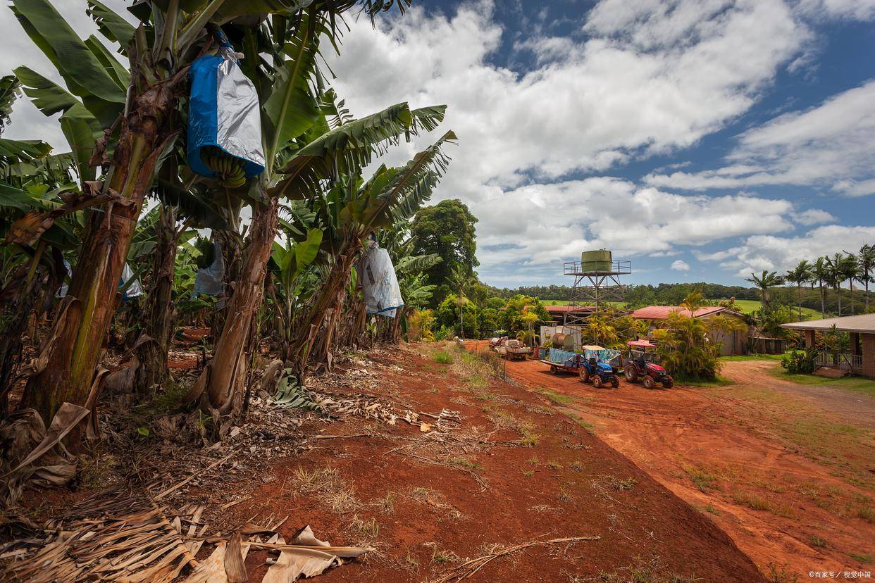 一分钟了解非洲小国赤道几内亚_巴伊奥_文化_的国家
