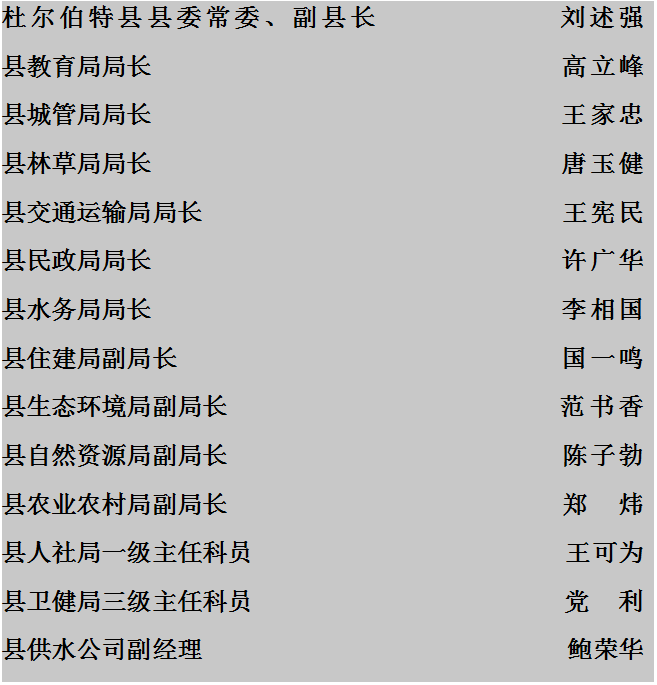 杜尔伯特县人民政府上线受理群众诉求_孟先生_进行_答复