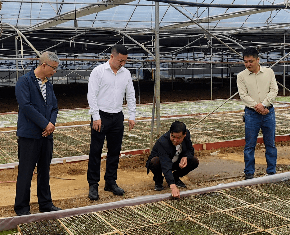 一周动态 | 全省退役军人事务工作快讯(5月15日-5月21日)_活动_黔南州