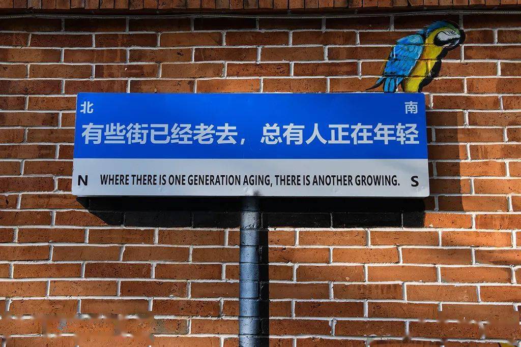 张西南:真假路牌_成都市_摄影_中国