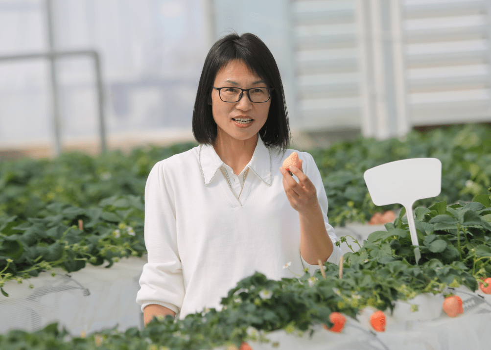 演员谢霞_谢玉霞是谁