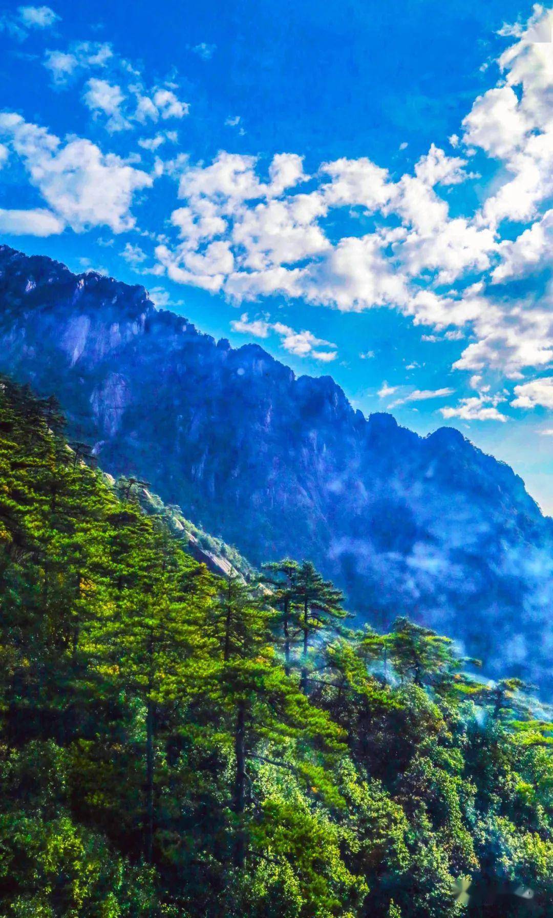 白云青睐黄山 霍建明 摄我怏怏返回饭店客房发现后门打开有一个10来