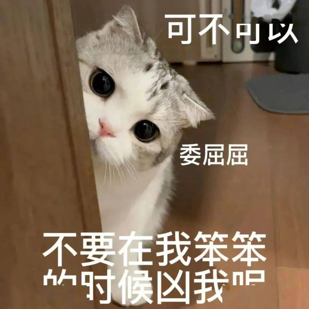 抖音热门表情包:就凶你怎么啦