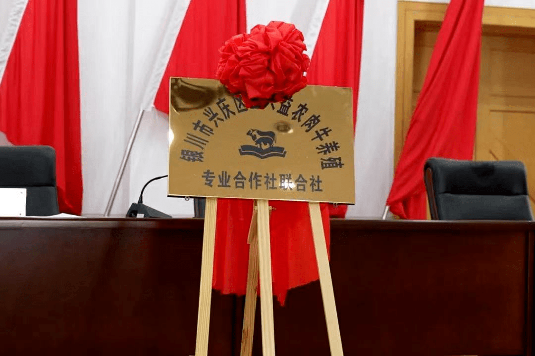 大新镇:党组织领办合作社,打造乡村振兴"大新样板"_发展_集体经济