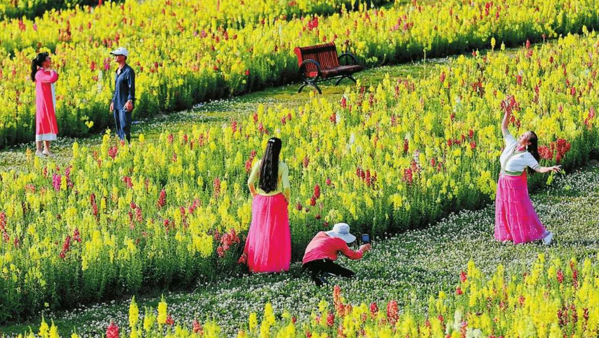 青阳人工湖花海图片