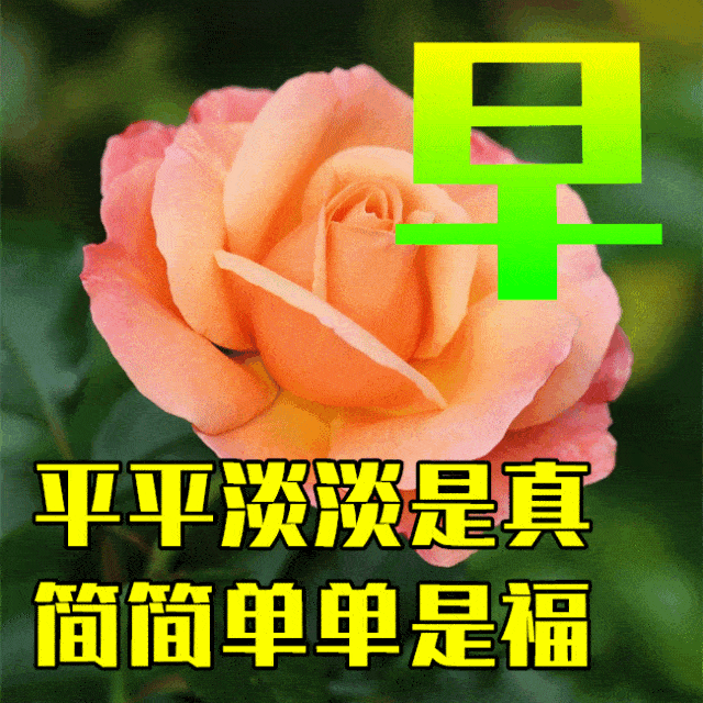 一种思念,网线相牵,一种温暖,两情相悦,一种缘分,心有灵犀,一句祝福