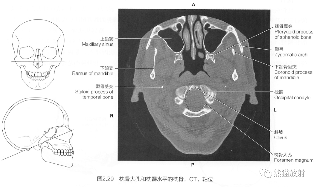 断解选读