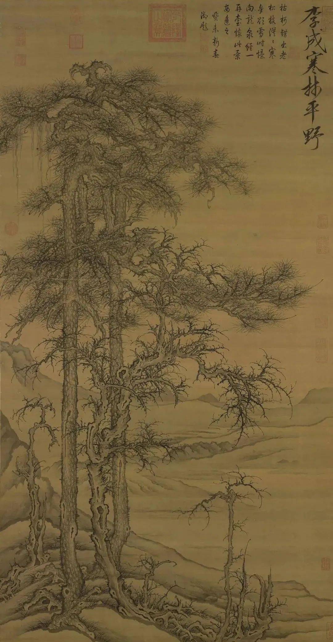 学画山水当从画树入手_松树_荆浩_独立