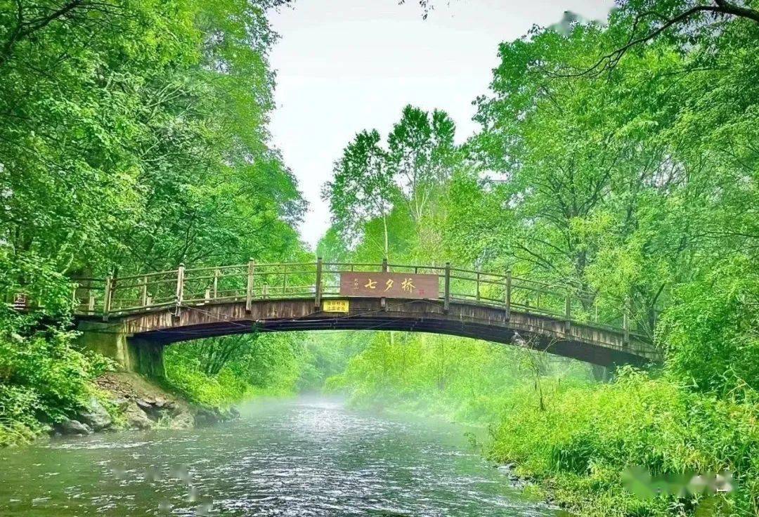 安图县文广旅局邀您来"长白山第一县——安图"打卡