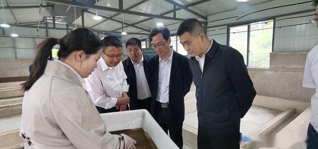 王金源到平坝第一高级中学检查高考筹备工作情况_劳动_教育_汇报工作