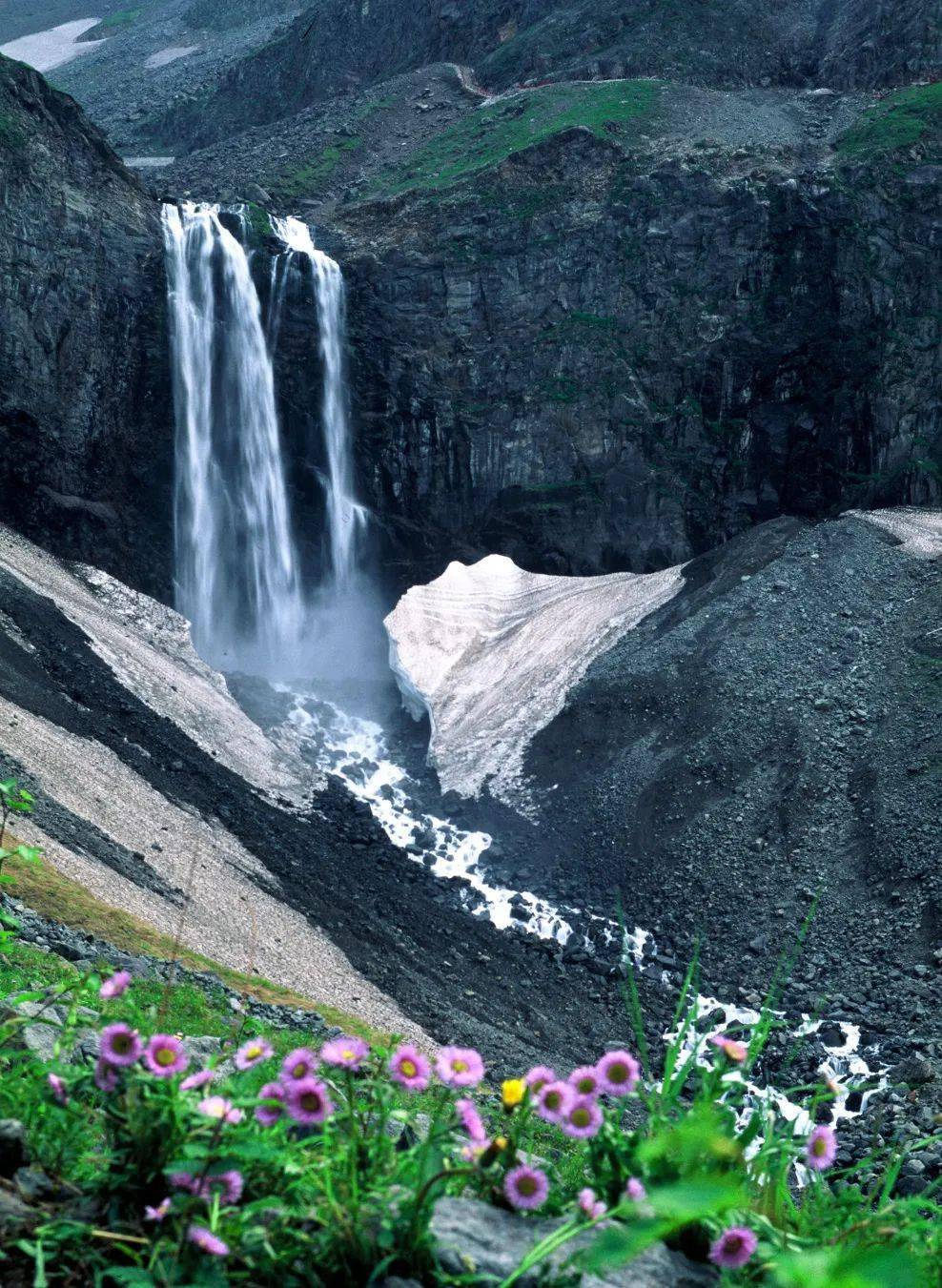森林_风景_夏天