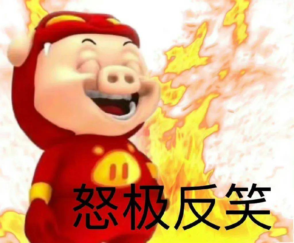 沙雕可爱表情包:怒极反笑