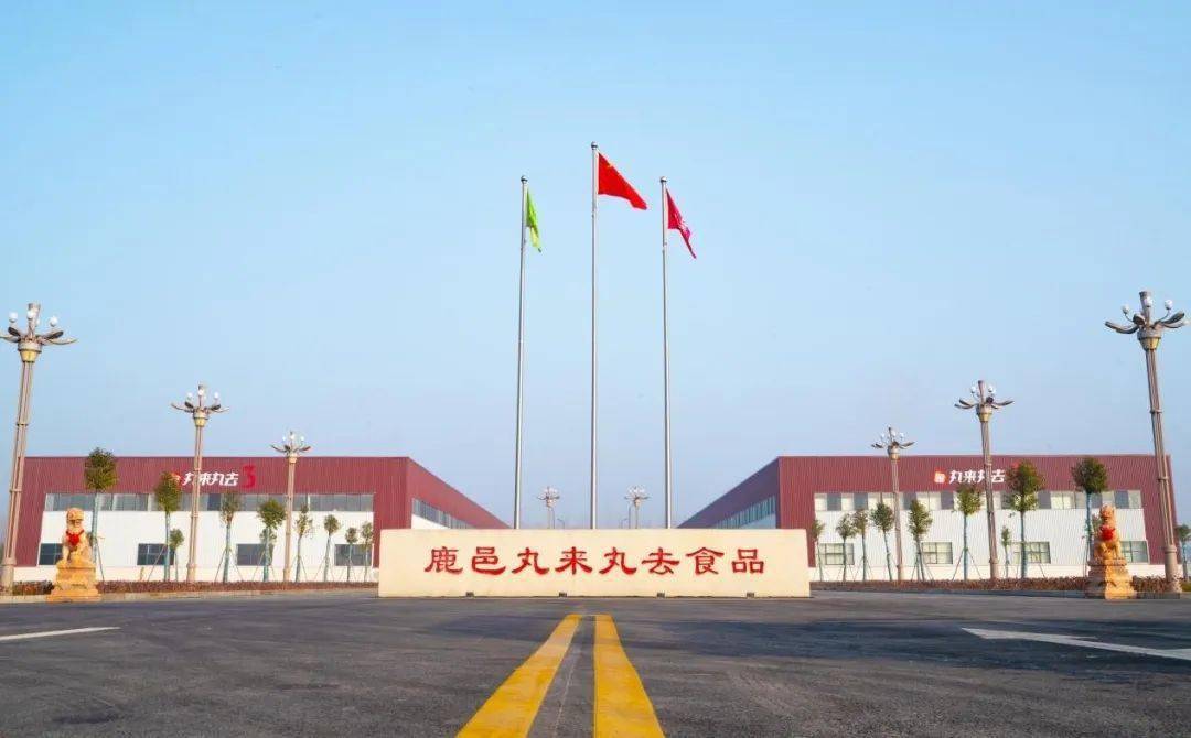 成立于2021年2月的鹿邑县丸来丸去食品有限公司,拥有总投资5.