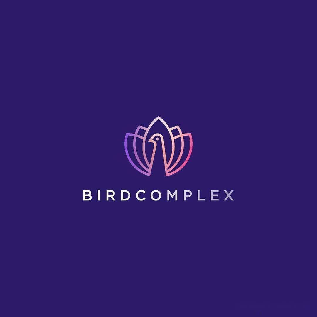 带翅膀的鸟元素logo大展拳脚 | 企业标志设计分享_朴琢_观点_创意