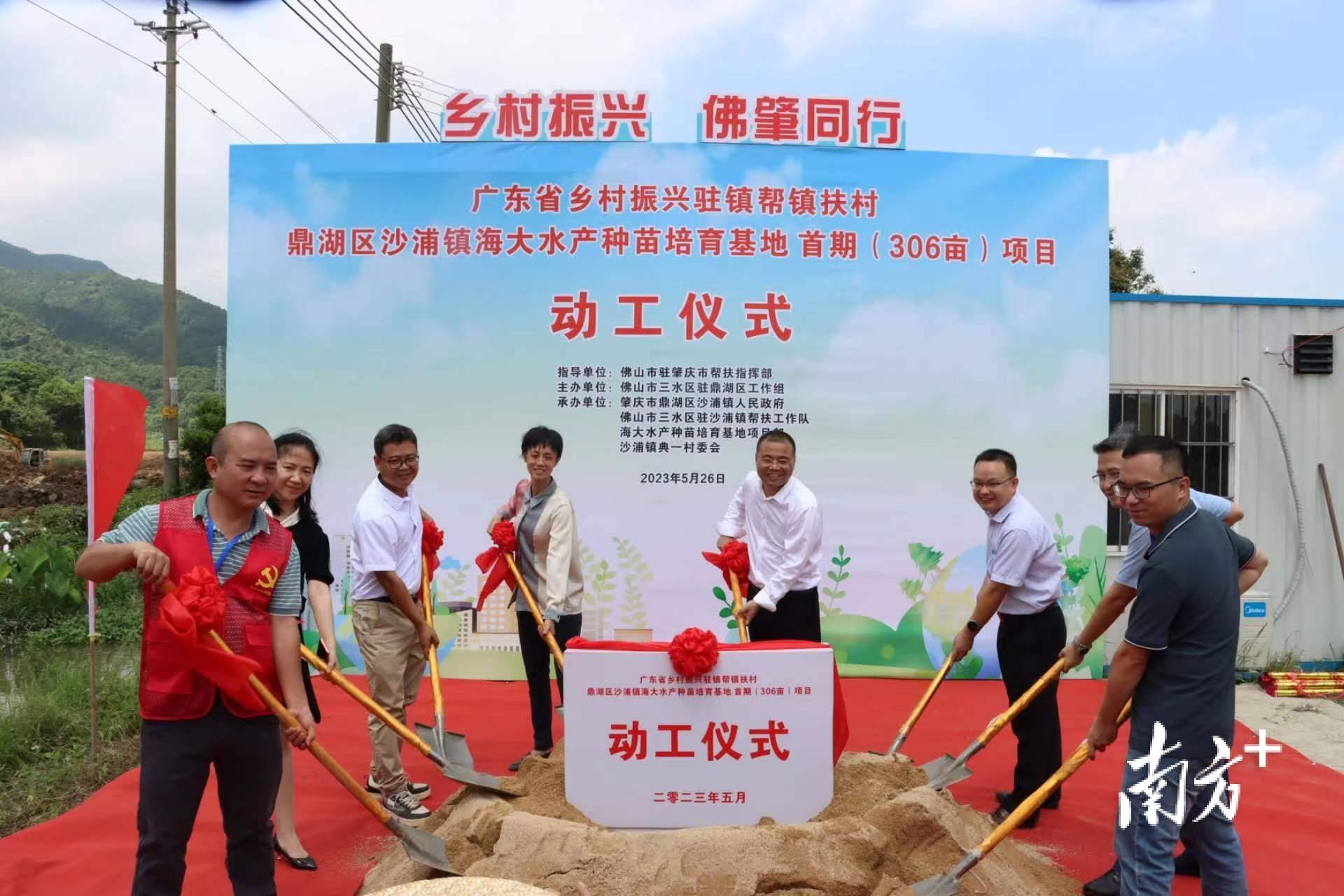 投資五千萬元,佛山幫扶肇慶創建中國農業公園提速_沙浦鎮_項目_工作