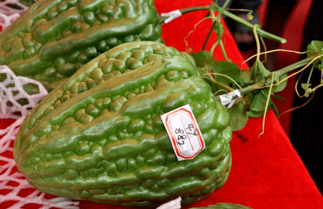 地点:杜阮凉瓜田园综合体