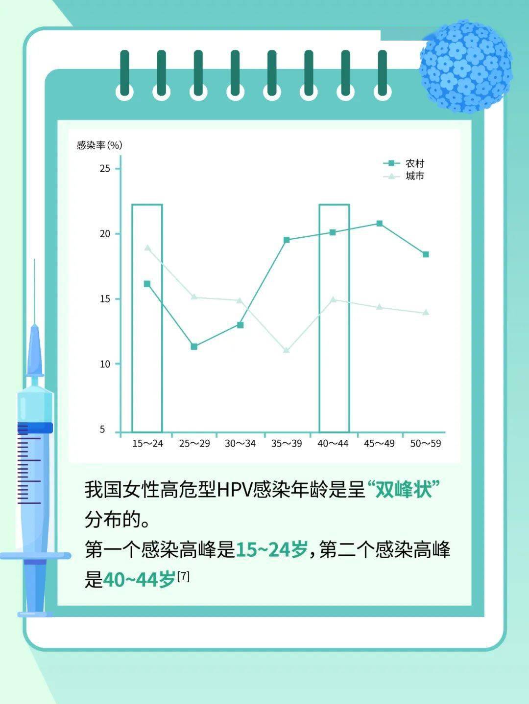 hpv分布对照图图片