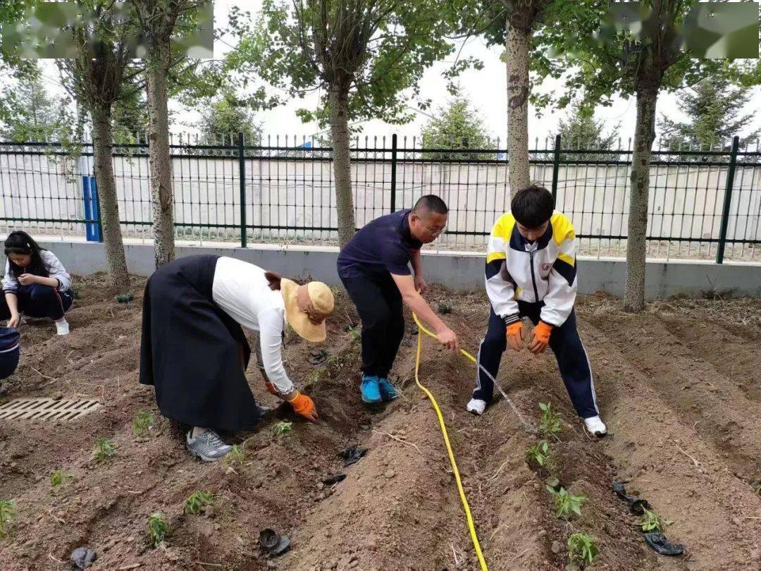 青绿圃中植青绿,丰收园里话丰收——汤原县高级中学"青绿"劳动实践